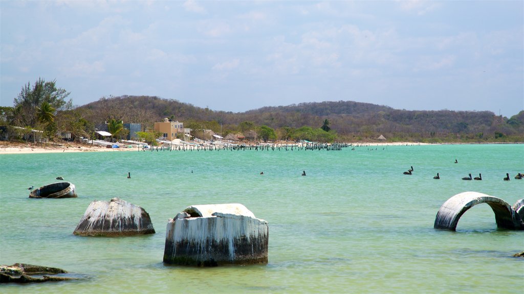 Siho Playa showing tropical scenes and general coastal views