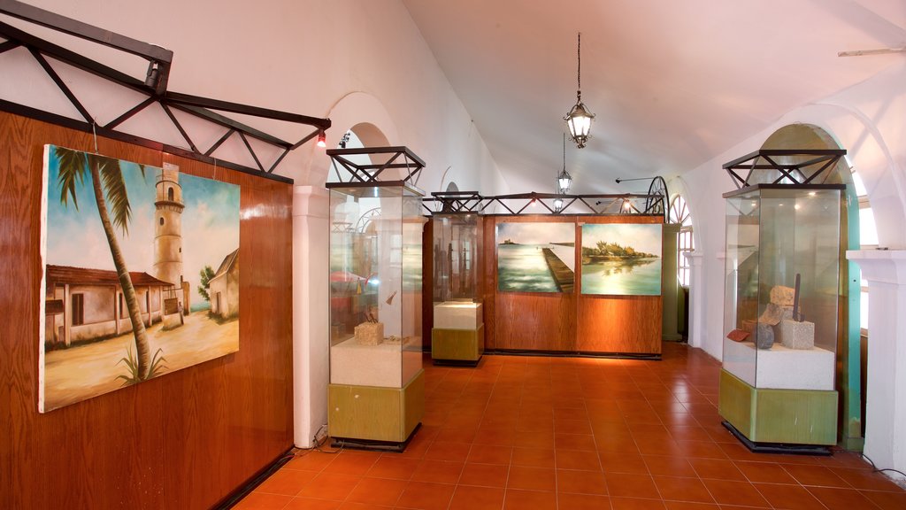 Museo Victoriano Nieves Céspedes ofreciendo arte y vista interna