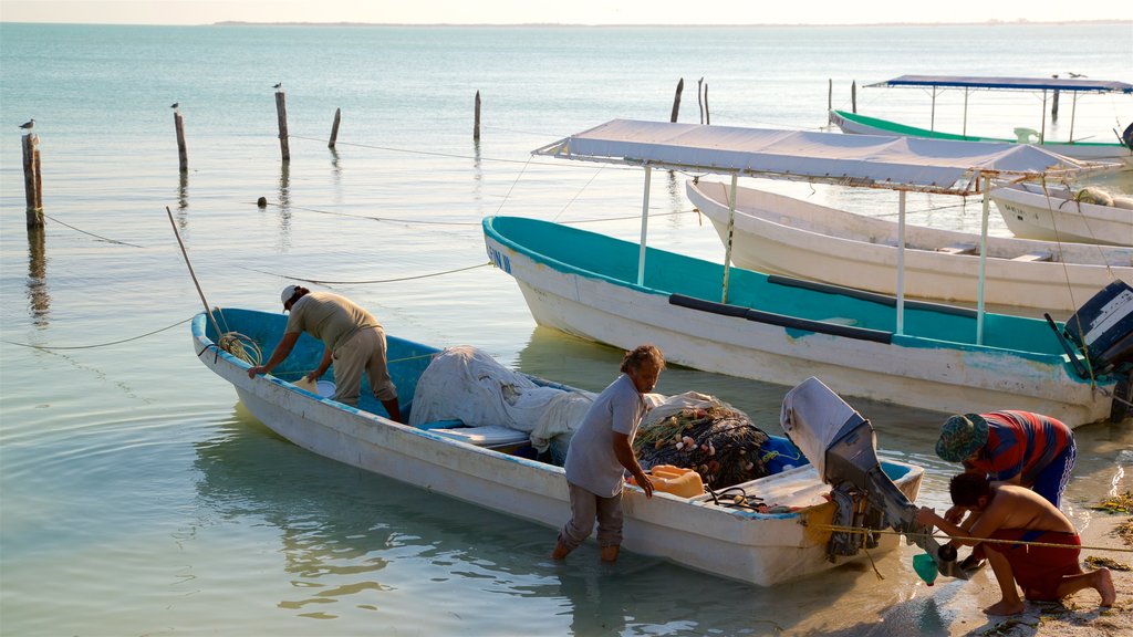 Isla Aguada mostrando una bahía o un puerto y vista general a la costa y también un pequeño grupo de personas