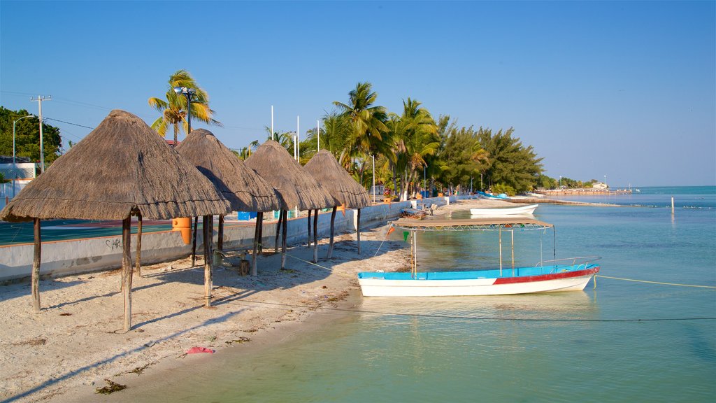 Isla Aguada que incluye una playa de arena, vistas generales de la costa y escenas tropicales