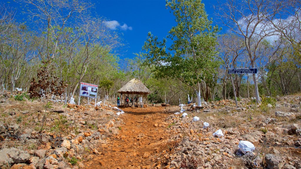 Calcehtok Caves which includes tranquil scenes