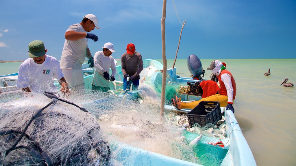 Seybaplaya mostrando vistas generales de la costa y pesca y también un pequeño grupo de personas