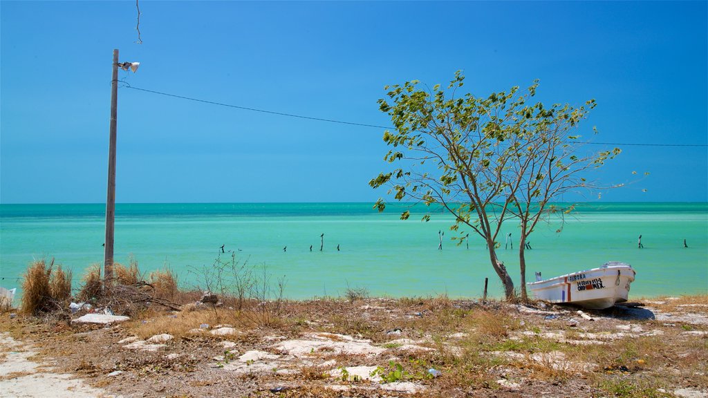 Siho Playa showing tropical scenes and general coastal views