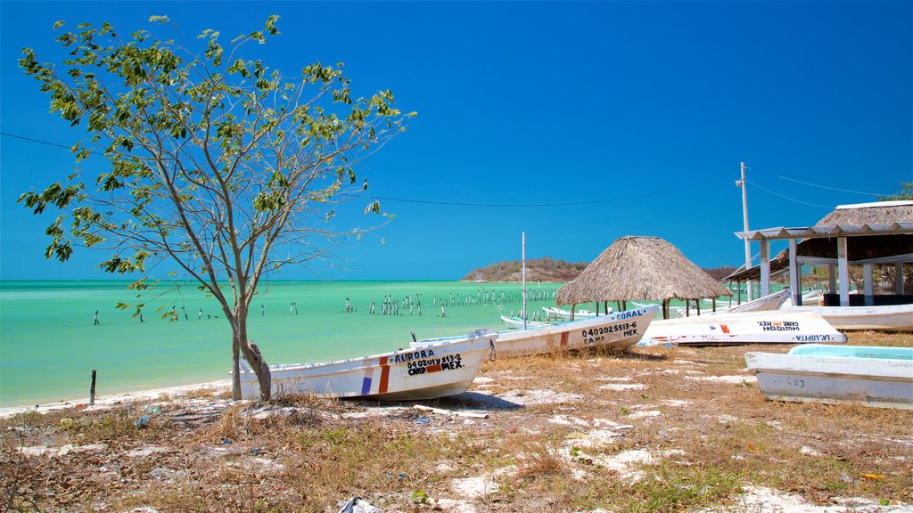 Siho Playa que incluye vistas de una costa y escenas tropicales