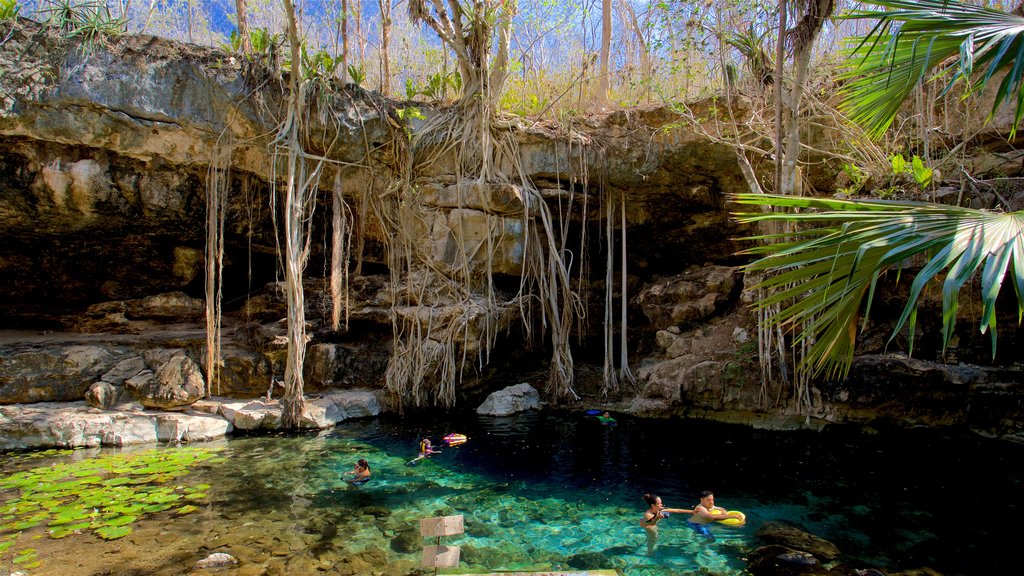 Cenote X\'batun featuring swimming and a lake or waterhole as well as a small group of people