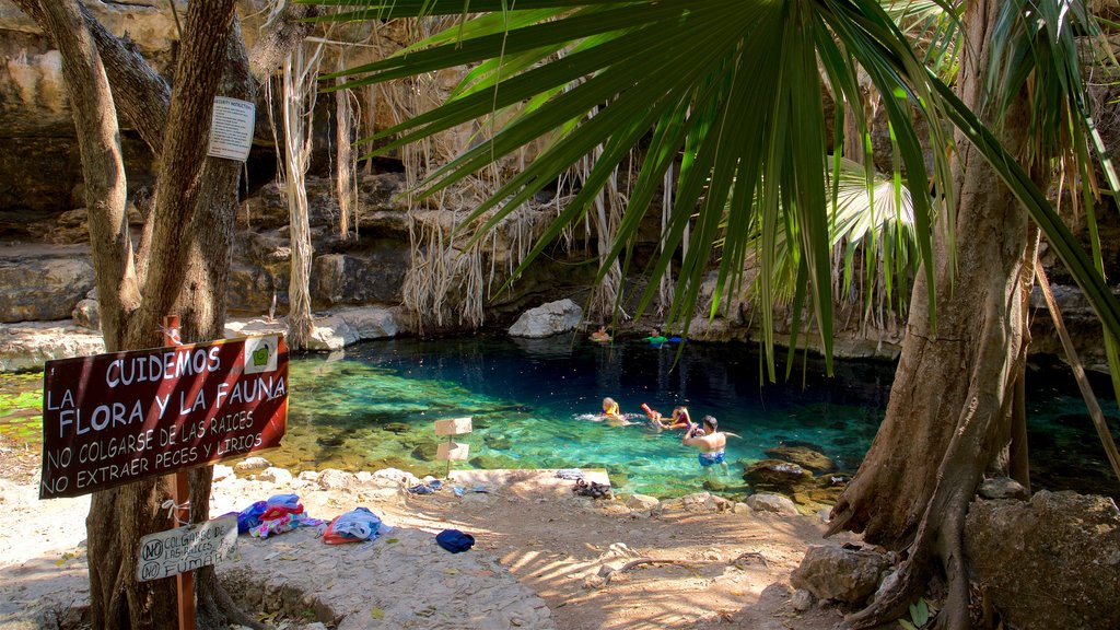 Cenote X\'batun featuring swimming, signage and a lake or waterhole