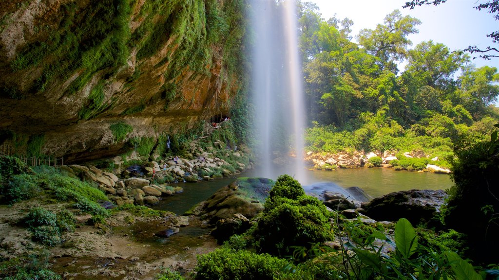 Cachoeira Misol-Ha que inclui um lago ou charco, um desfiladeiro ou canyon e uma cascata