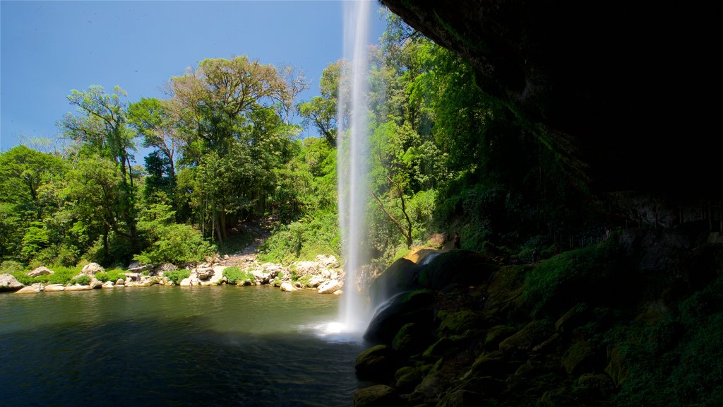 Cascadas de Misol-Ha que incluye un lago o espejo de agua y cataratas