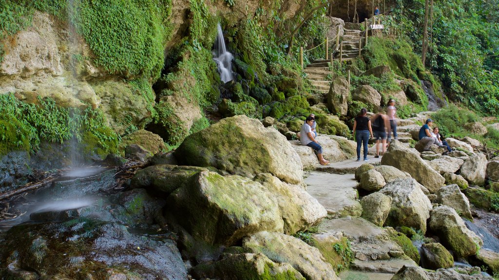 Misol-Ha Waterfalls featuring a waterfall as well as a small group of people