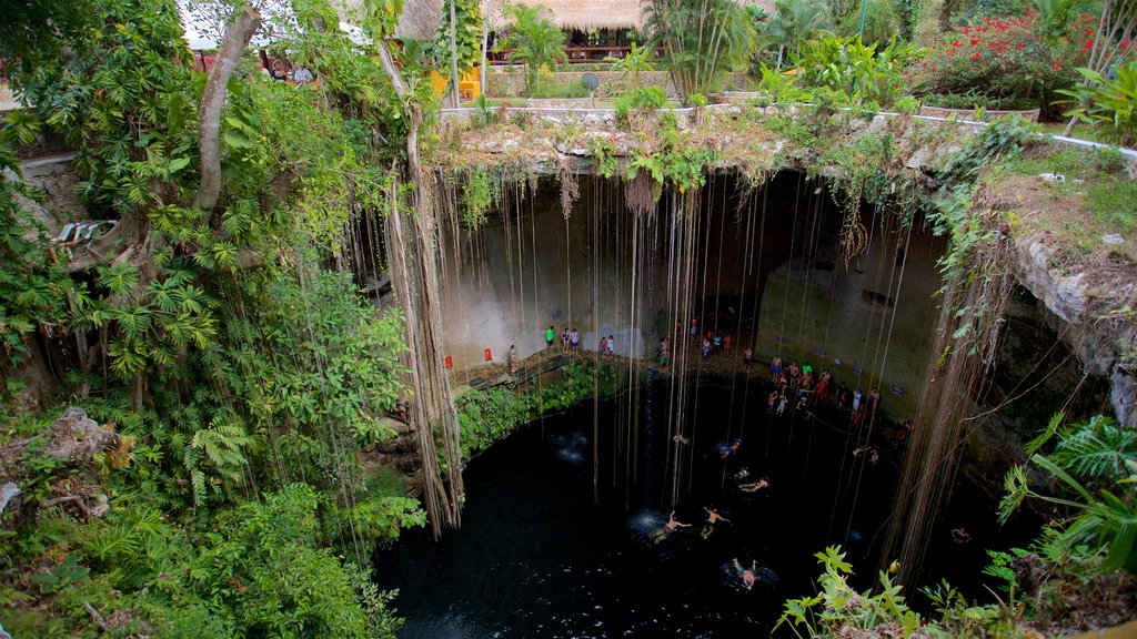 Cenote Ik kil ofreciendo natación y un lago o abrevadero y también un pequeño grupo de personas