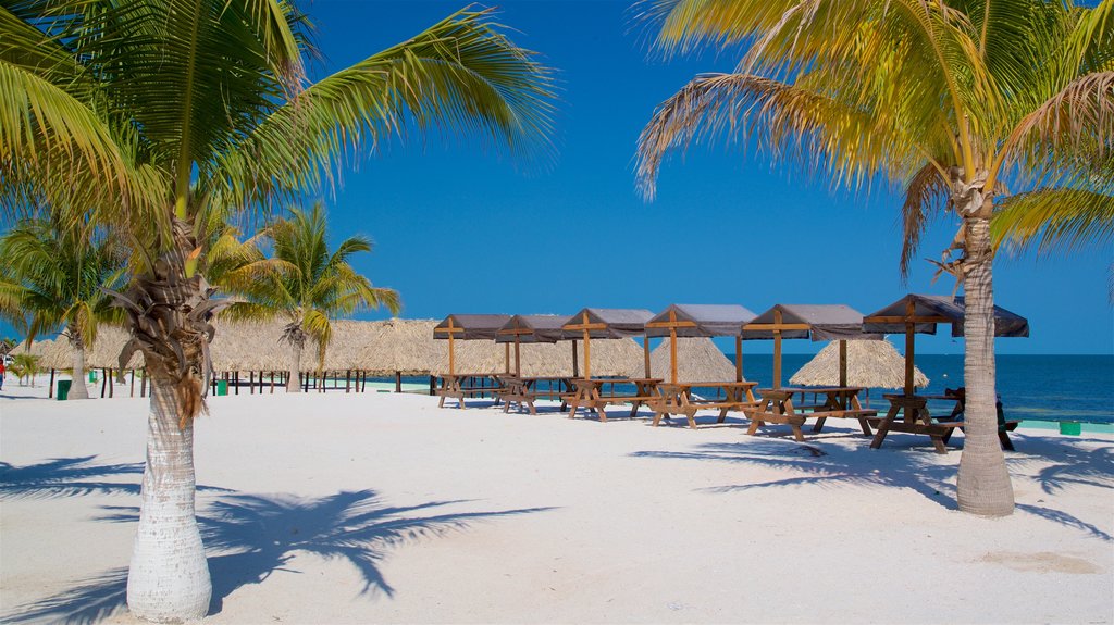 Playa Bonita das einen Strand, tropische Szenerien und allgemeine Küstenansicht