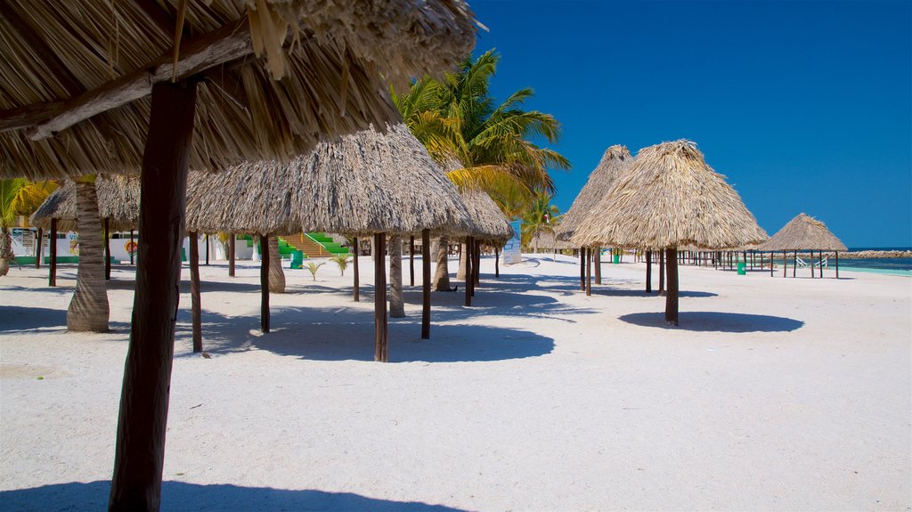 Playa Bonita que incluye vistas generales de la costa, una playa de arena y escenas tropicales