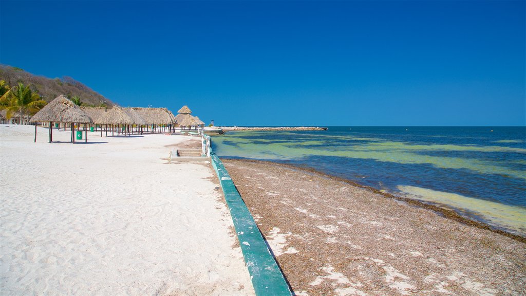 Bonita Beach showing tropical scenes, general coastal views and a beach