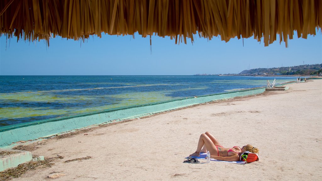 Praia de Bonita mostrando cenas tropicais, uma praia de areia e paisagens litorâneas