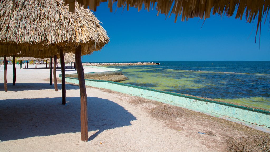 Bonita Beach featuring tropical scenes, general coastal views and a sandy beach