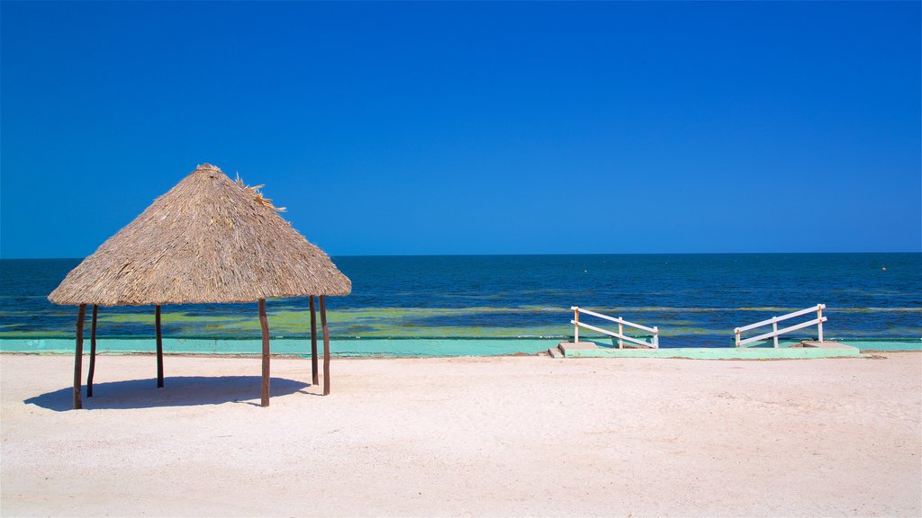 Bonita Beach which includes tropical scenes, general coastal views and a sandy beach