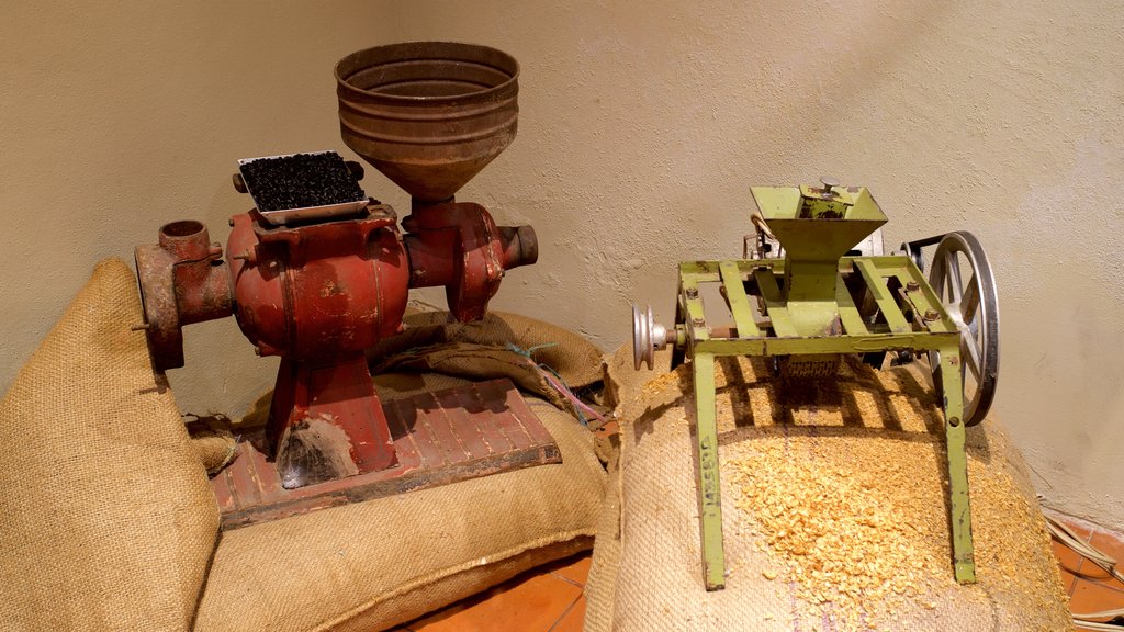 Coffee Museum showing interior views