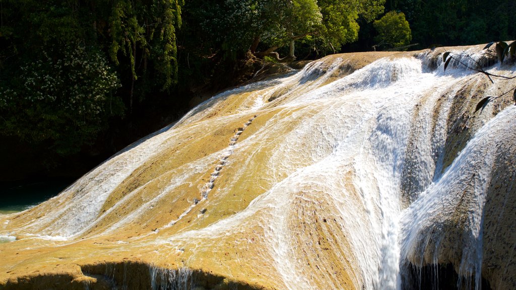 Cascada de Roberto Barrios เนื้อเรื่องที่ แม่น้ำหรือลำธาร