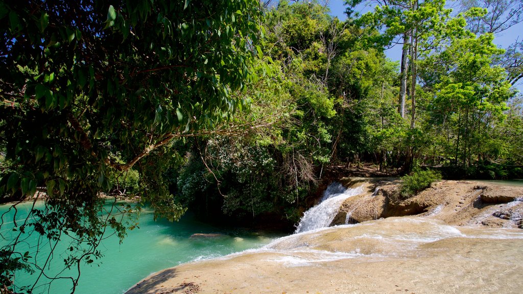 Cascada de Roberto Barrios mostrando una cascada y un río o arroyo