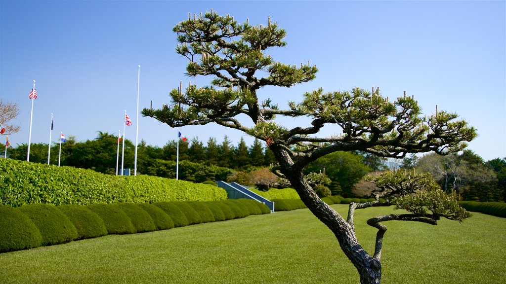 UN Memorial Cemetery toont een tuin