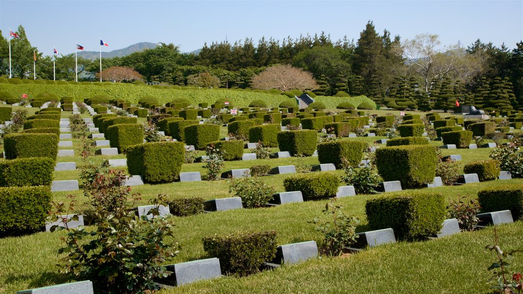 UN Memorial Cemetery featuring a garden