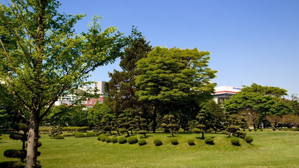 UN Memorial Cemetery toont een tuin