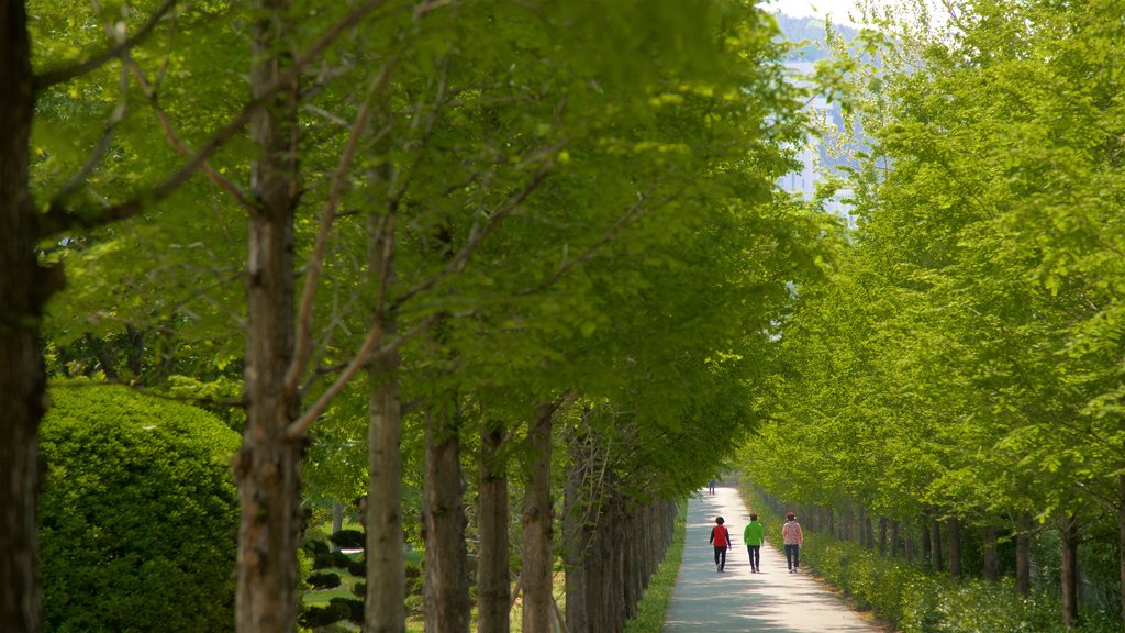 UN Memorial Cemetery which includes a garden and hiking or walking as well as a small group of people