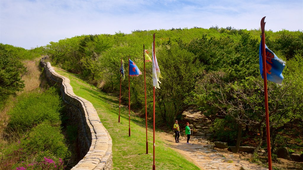 Geumjeongsan showing tranquil scenes and landscape views as well as a couple