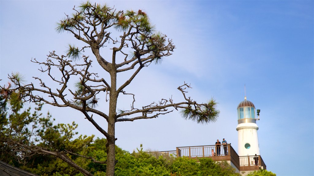 Dongbaekseom Park which includes a lighthouse, general coastal views and views