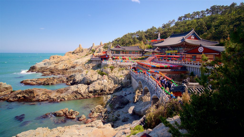 Haedong Yonggung Temple caracterizando uma ponte, um templo ou local de adoração e elementos de patrimônio