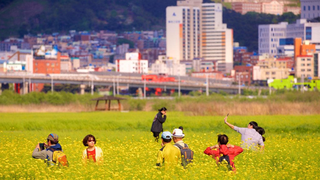 Busan caracterizando cenas tranquilas, uma cidade e flores silvestres