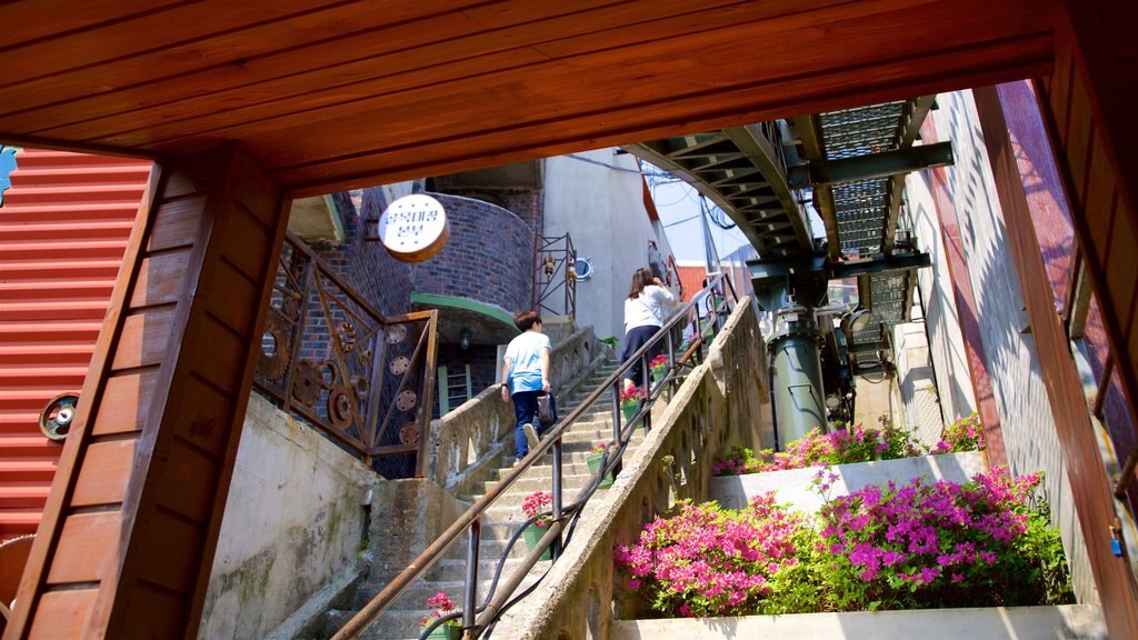 Busan ofreciendo flores y también una pareja