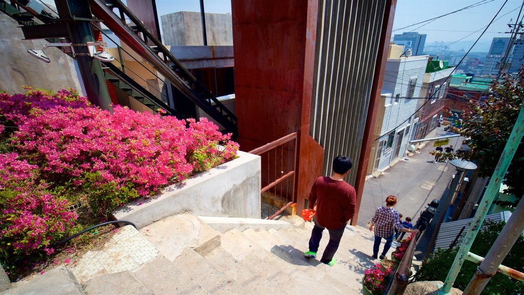 Busan que incluye una ciudad y flores silvestres y también una pareja