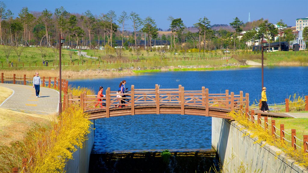 Alpensia Ski Resort showing a river or creek and a bridge as well as a family