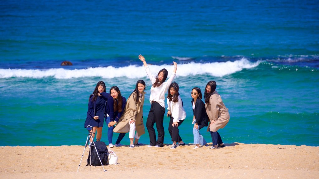 Praia de Anmok mostrando uma praia de areia e paisagens litorâneas assim como um pequeno grupo de pessoas