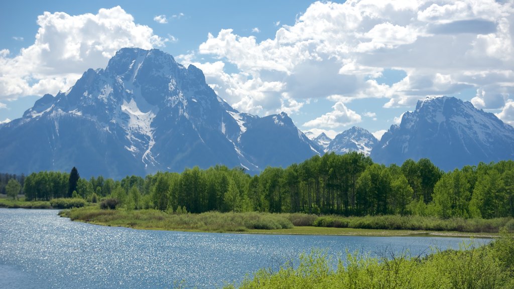 Oxbow Bend showing mountains and a river or creek