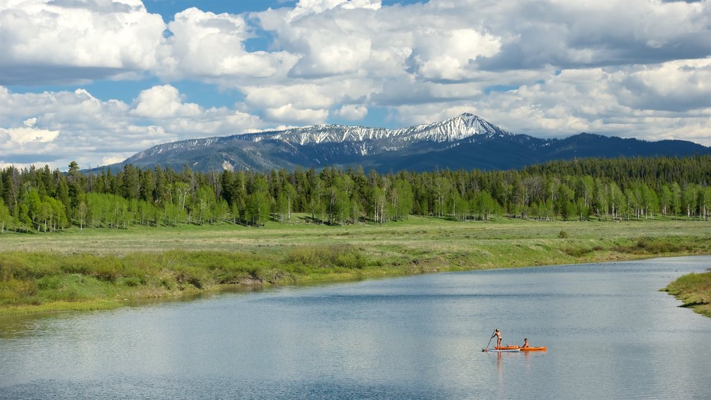 Oxbow Bend som viser fjell, kajakkpadling eller kanopadling og rolig landskap