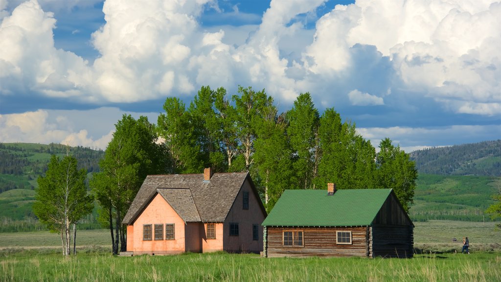 Mormon Row Historic District showing tranquil scenes and a house