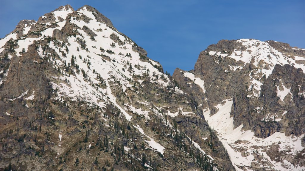 Cascade Canyon bevat bergen en sneeuw