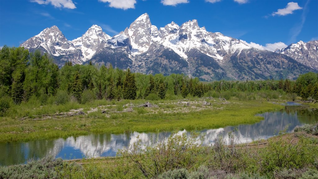 Schwabacher\'s Landing som viser rolig landskap, elv eller bekk og snø