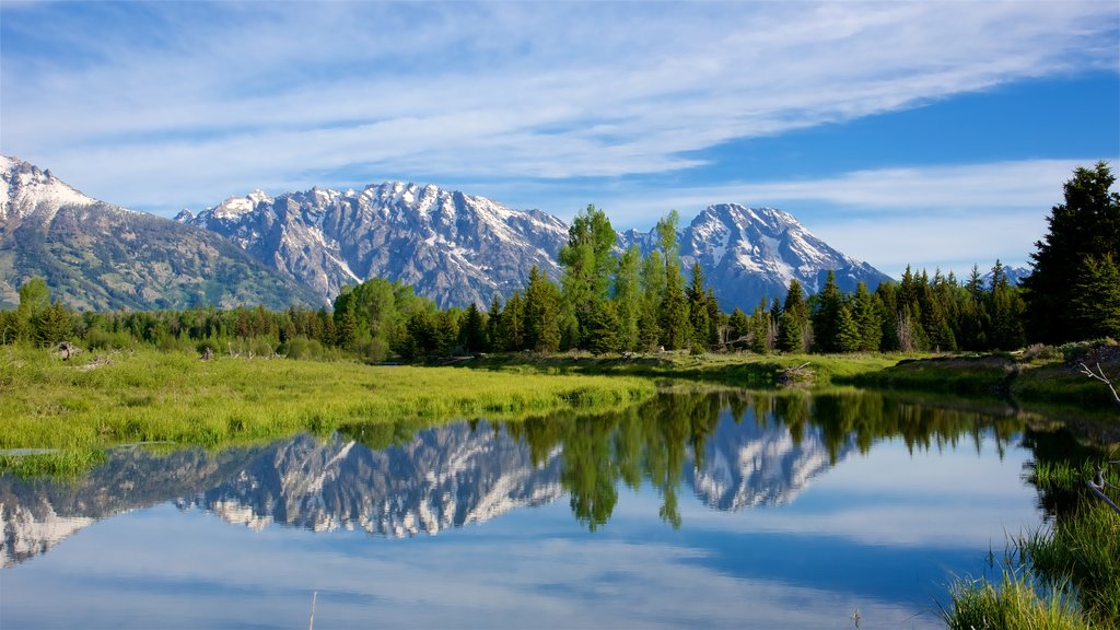 Schwabacher\'s Landing welches beinhaltet ruhige Szenerie, Berge und Fluss oder Bach