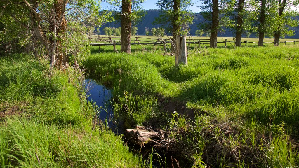 Distrito histórico de Mormon Row mostrando granja y un río o arroyo