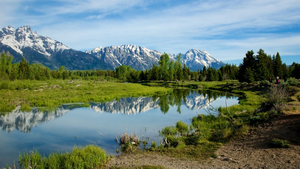 Schwabacher\'s Landing som inkluderer rolig landskap, fjell og landskap