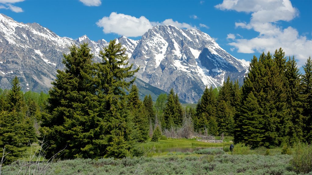 Schwabacher\'s Landing which includes tranquil scenes and mountains