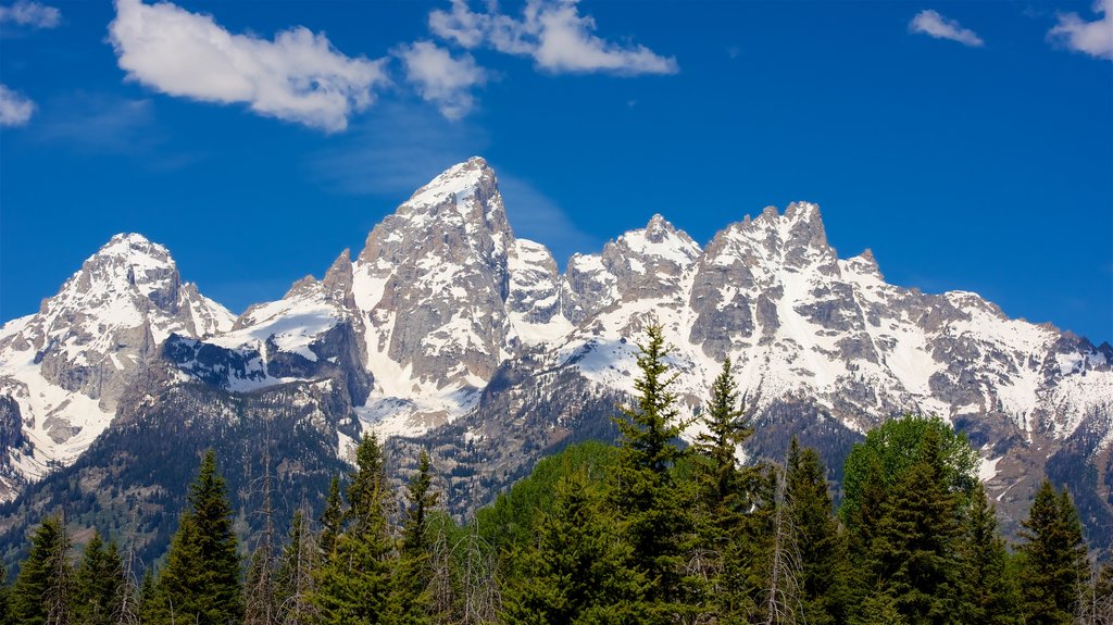 Schwabacher\'s Landing som viser sne og bjerge