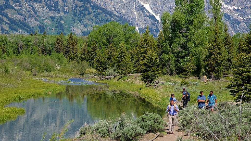 Schwabacher\'s Landing which includes hiking or walking, tranquil scenes and a river or creek