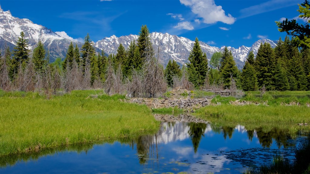 Schwabacher\'s Landing mit einem Fluss oder Bach, ruhige Szenerie und Berge