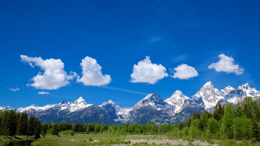 Aterragem de Schwabacher mostrando cenas tranquilas, montanhas e paisagem