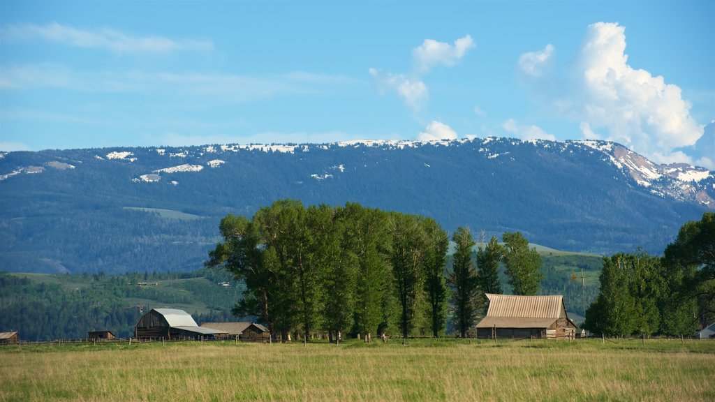 Distrito histórico de Mormon Row mostrando escenas tranquilas, vistas de paisajes y tierras de cultivo