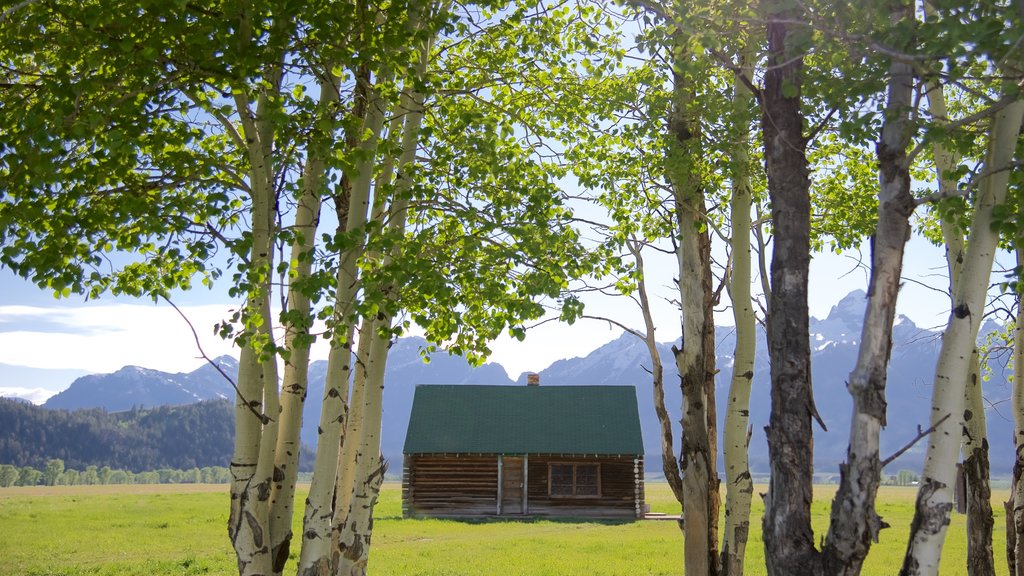 Distrito histórico de Mormon Row mostrando tierras de cultivo, escenas tranquilas y una casa